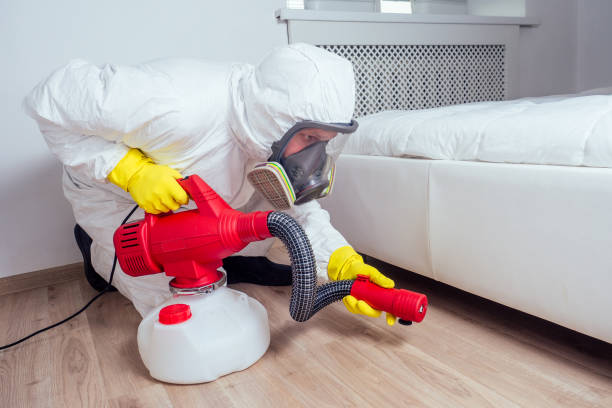 Professional Pest Control in Stafford, TX